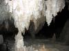 PICTURES/Carlsbad Caverns/t_Formations1.JPG